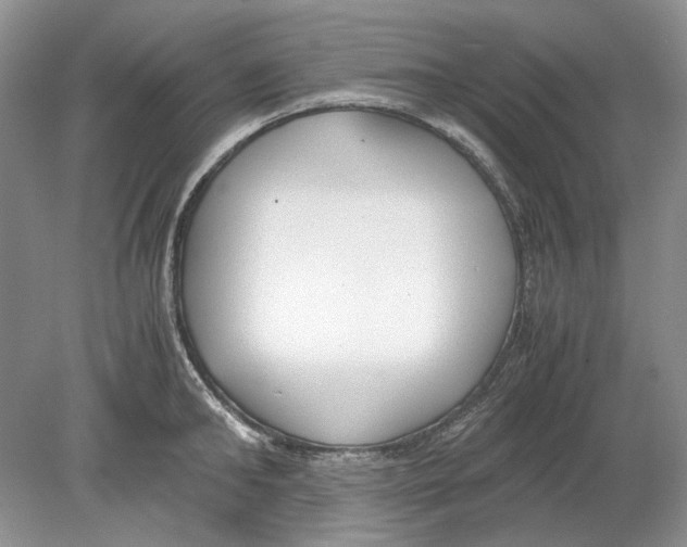 X0000078880902200612111736