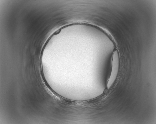 X0000078880903200612111736