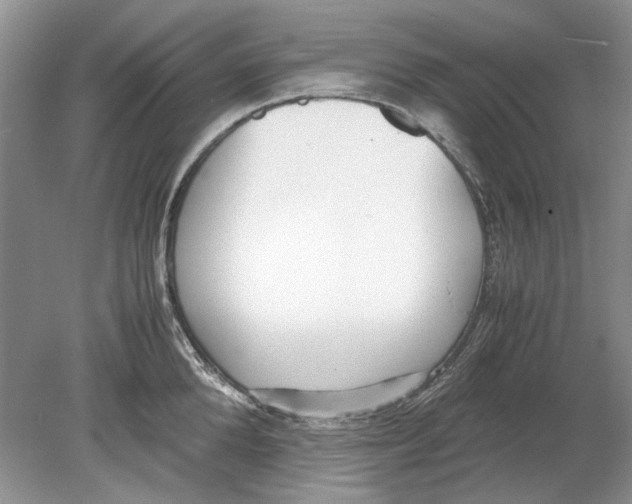 X0000078880904200612111736