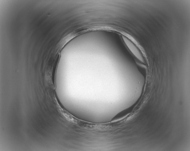 X0000078880905200612111736