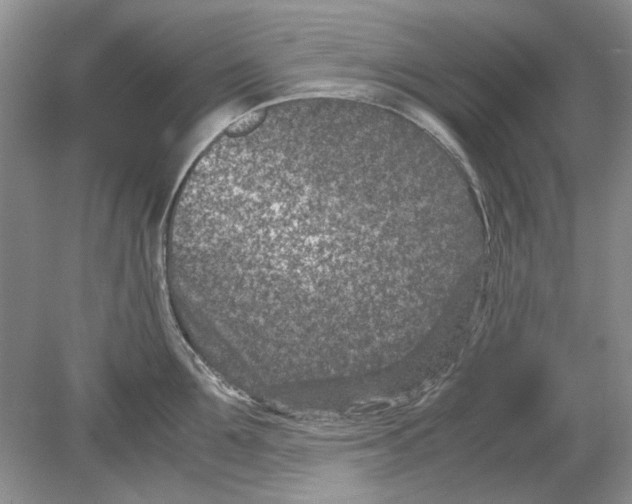 X0000078880907200612111736