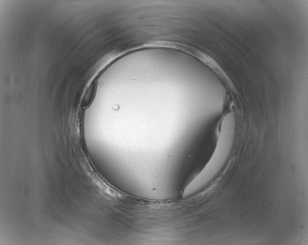 X0000078880908200612111736