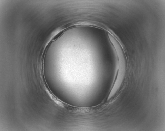 X0000078880909200612111736