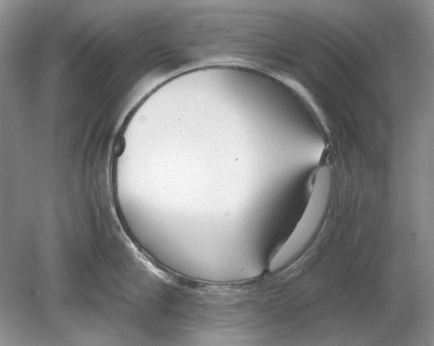 X0000078880910200612111736