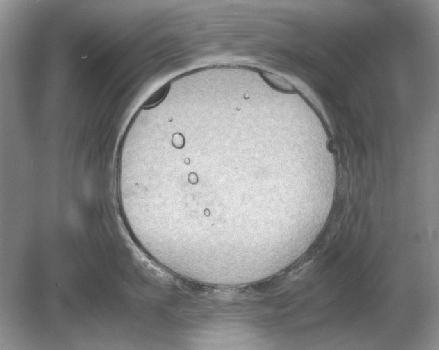 X0000078880911200612111736