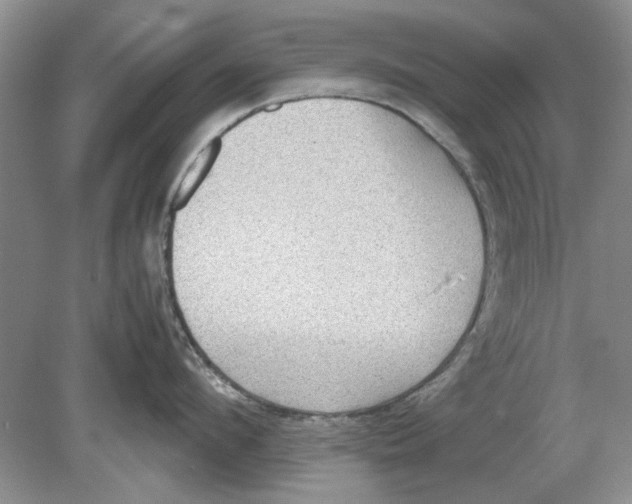 X0000078880912200612111736