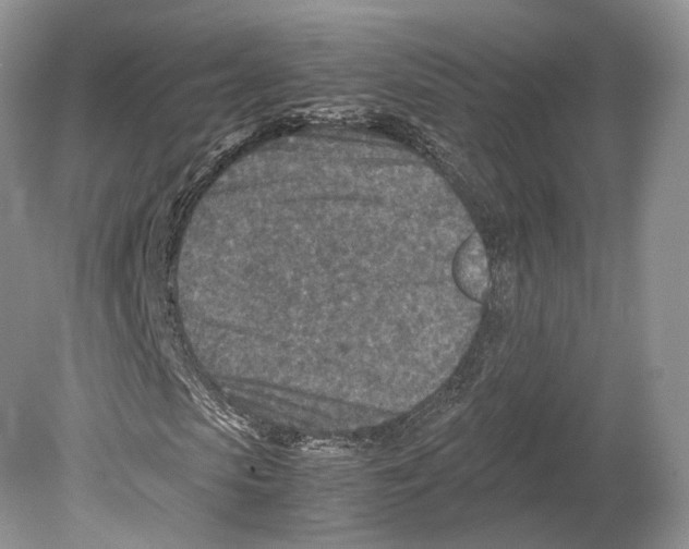 X0000078880913200612111735