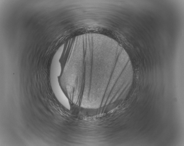 X0000078880916200612111735