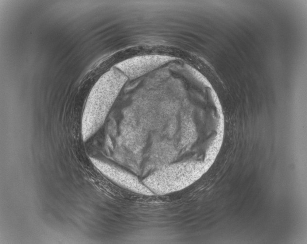 X0000078880919200612111735