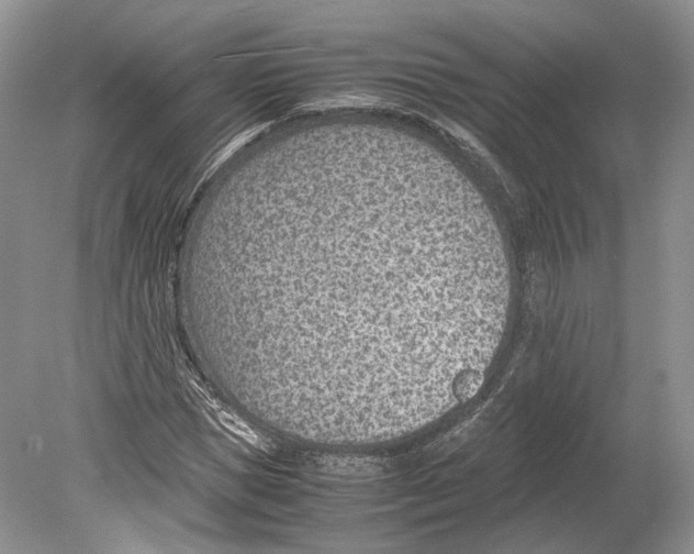 X0000078880921200612111735