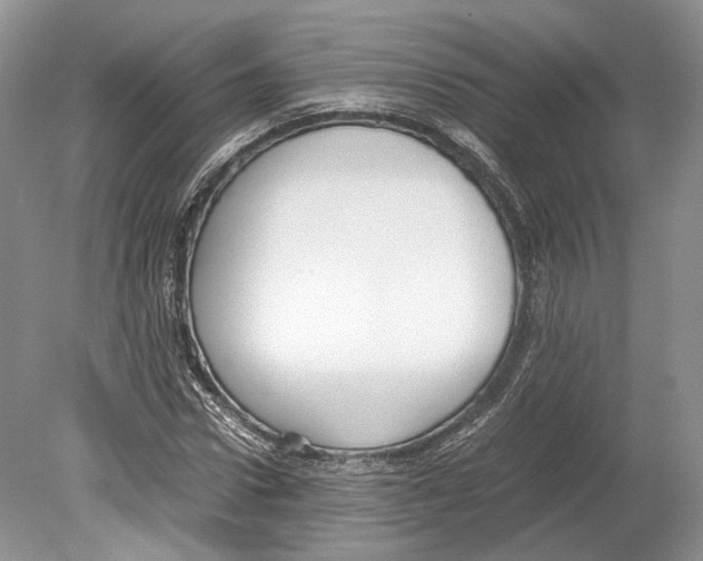 X0000078880922200612111735