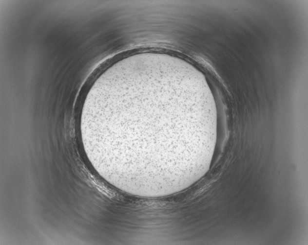 X0000078880924200612111735