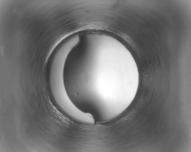 X0000078880926200612111735