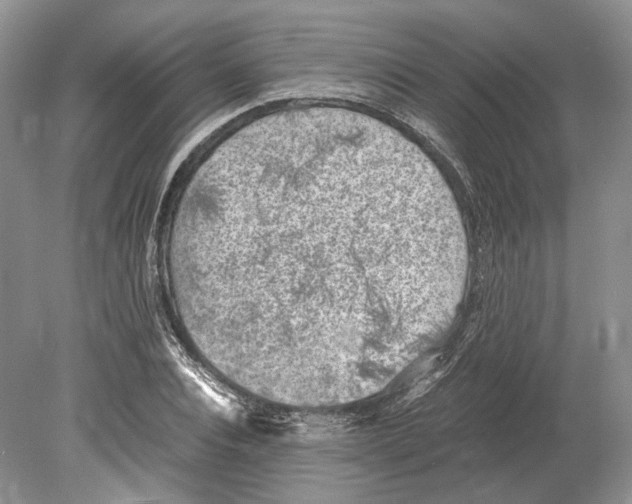 X0000078880928200612111735