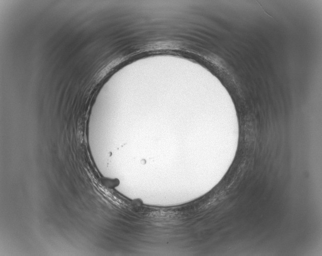 X0000078880929200612111735