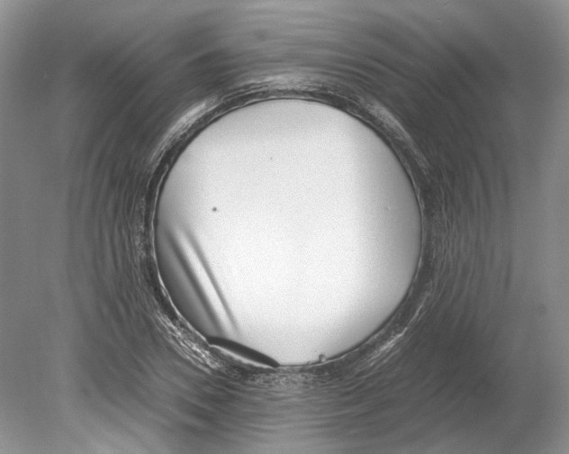 X0000078880930200612111735