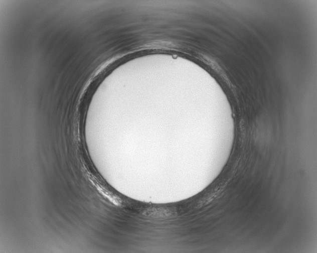 X0000078880931200612111735