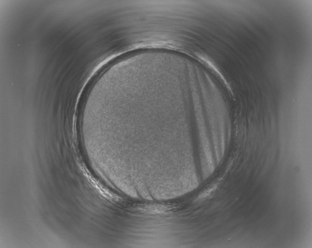 X0000078880932200612111735