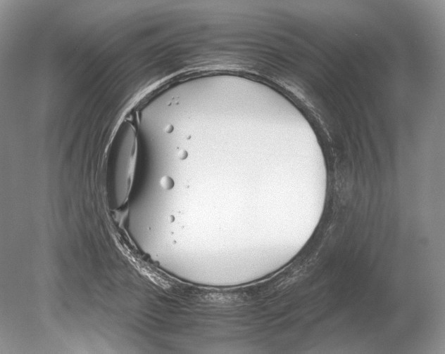 X0000078880933200612111736