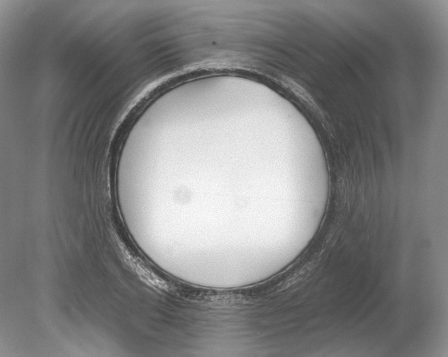 X0000078880934200612111736