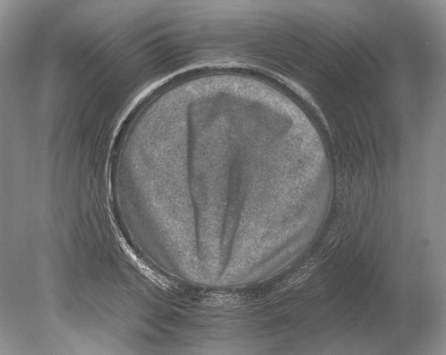 X0000078880935200612111736