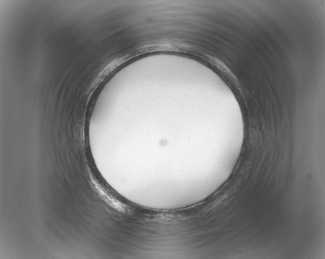 X0000078880938200612111736