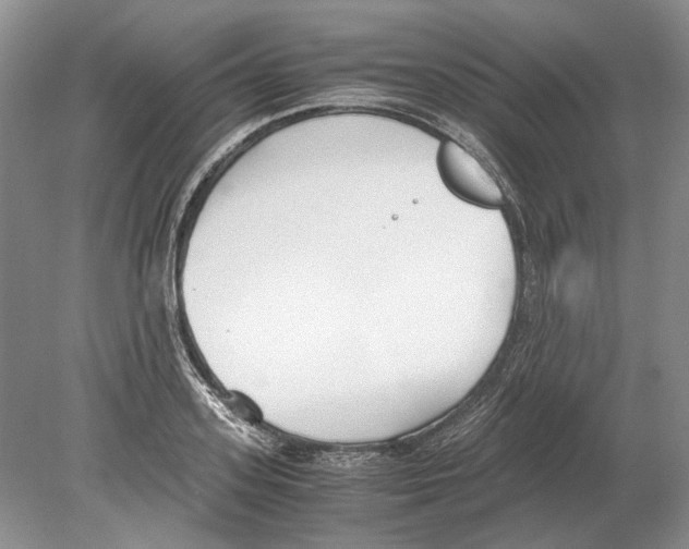 X0000078880939200612111736