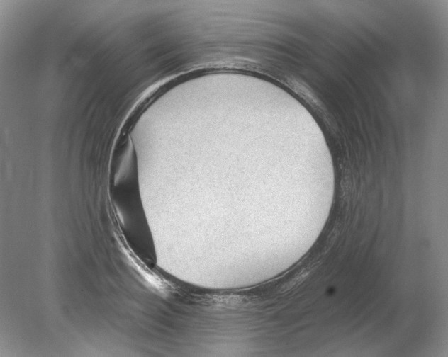 X0000078880940200612111736