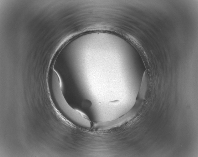 X0000078880942200612111736