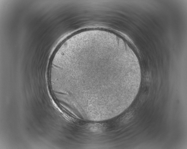 X0000078880943200612111736