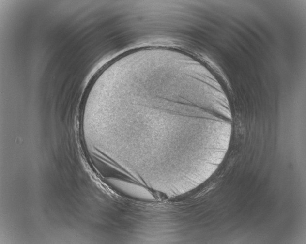 X0000078880944200612111736