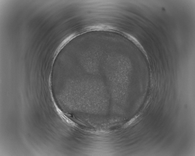 X0000078880946200612111736