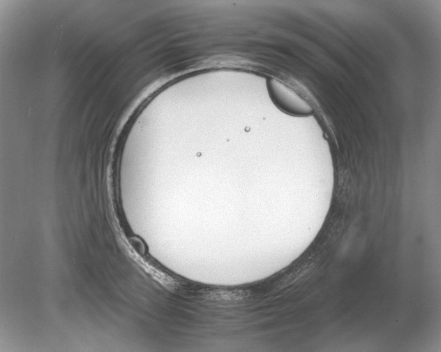 X0000078880947200612111736