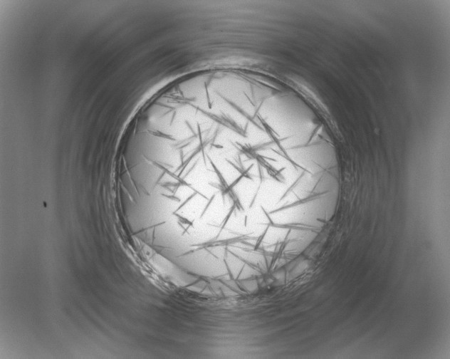 X0000078880948200612111736