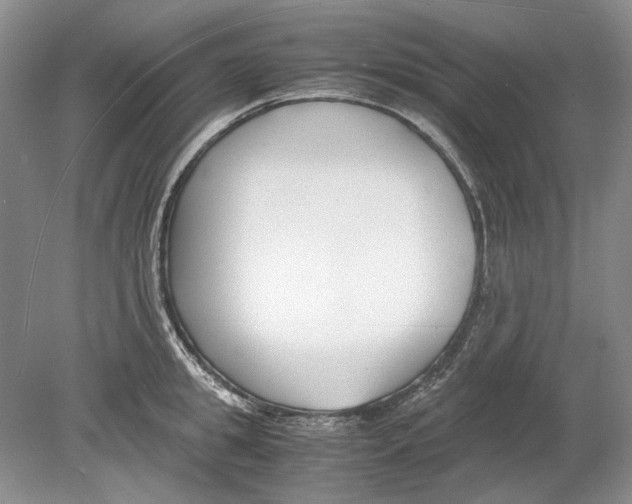 X0000078880949200612111736