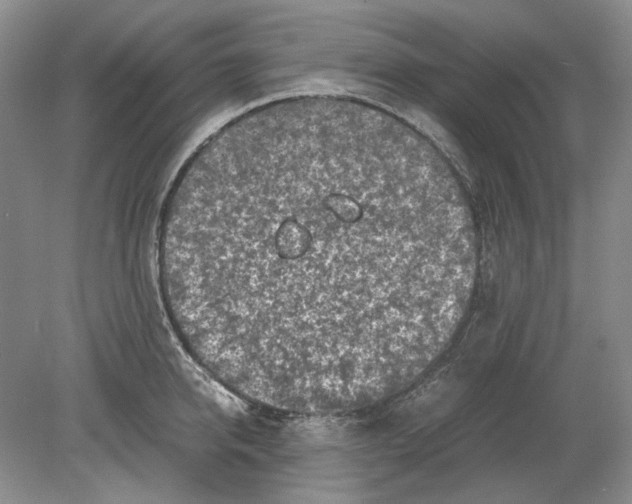 X0000078880950200612111736