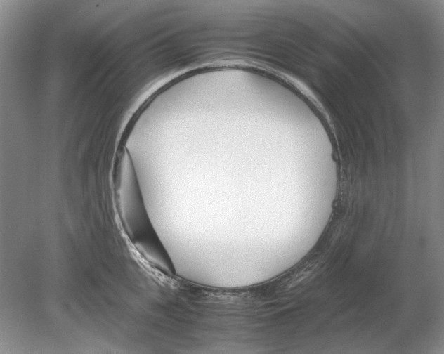 X0000078880951200612111736