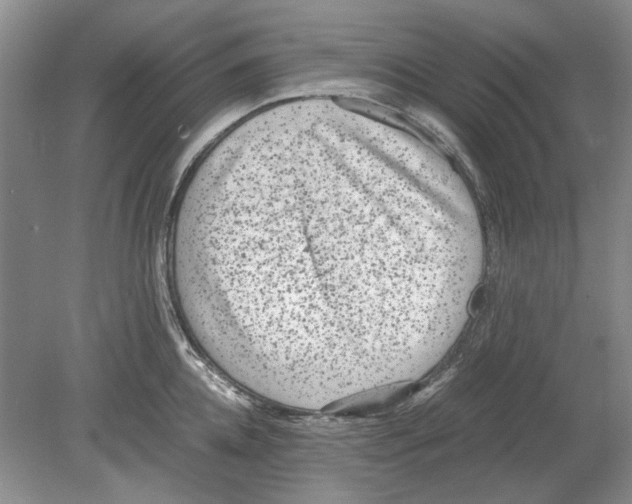 X0000078880952200612111736