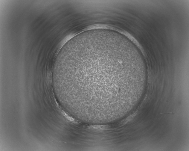 X0000078880953200612111736