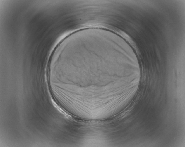 X0000078880958200612111736