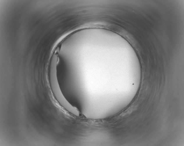 X0000078880960200612111736