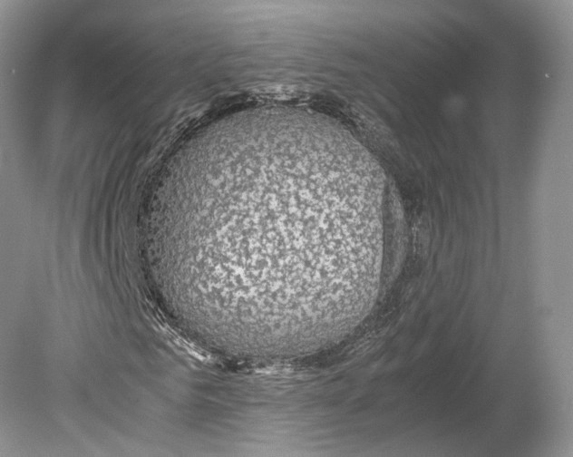 X0000078880961200612111735