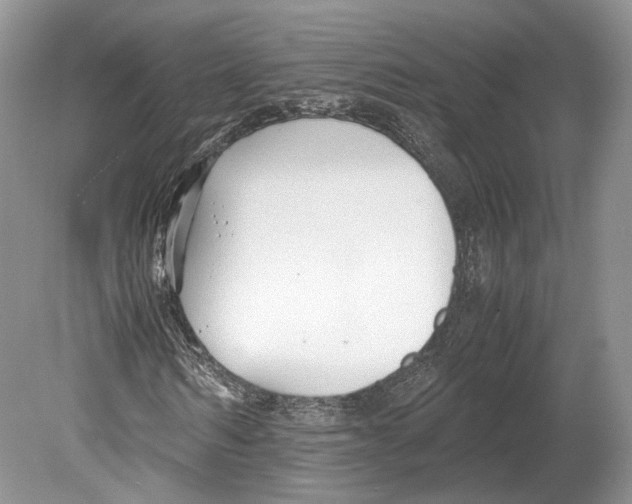 X0000078880962200612111735