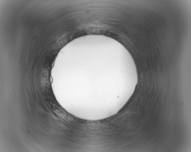 X0000078880964200612111735