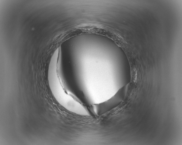 X0000078880965200612111735