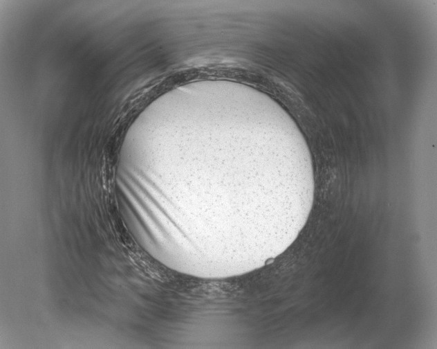 X0000078880966200612111735