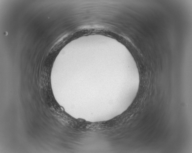 X0000078880967200612111735