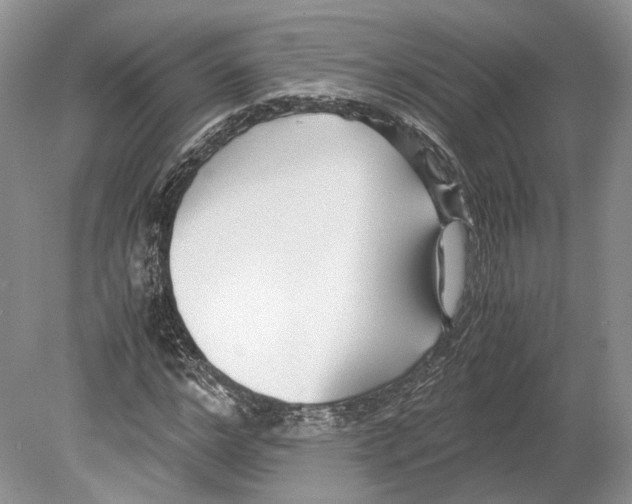 X0000078880968200612111735