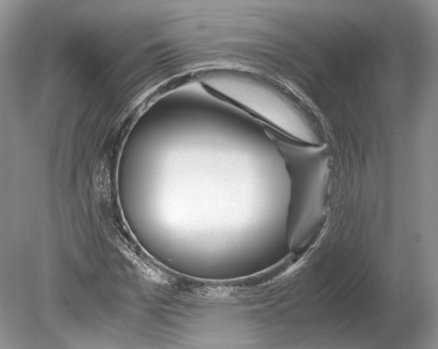 X0000078880969200612111735