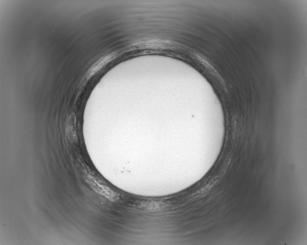 X0000078880970200612111735